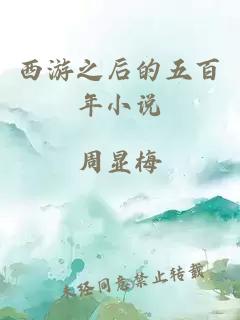 西游之后的五百年小說