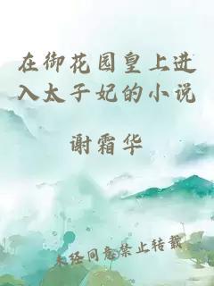 在御花園皇上進(jìn)入太子妃的小說