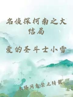 名偵探柯南之大結(jié)局