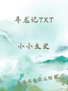 尋龍記TXT