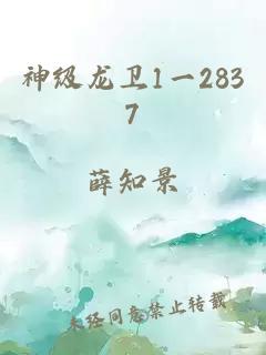 神級(jí)龍衛(wèi)1一2837