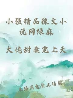 小強(qiáng)精品辣文小說網(wǎng)綠麻