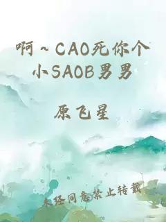 啊～CAO死你個小SAOB男男