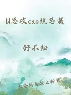 bl總攻cao爛總裁