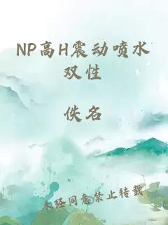 NP高H震動噴水雙性