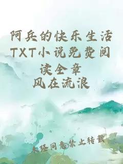 阿兵的快樂生活TXT小說免費閱讀全章