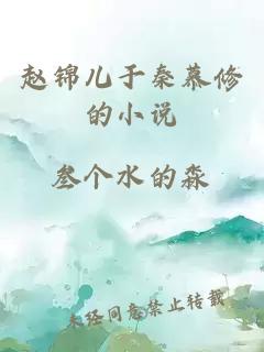 趙錦兒于秦慕修的小說(shuō)