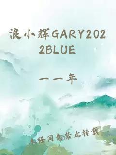 浪小輝GARY2022BLUE