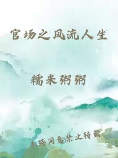 官場(chǎng)之風(fēng)流人生