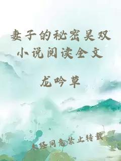 妻子的秘密吳雙小說閱讀全文