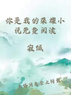 你是我的榮耀小說免費(fèi)閱讀