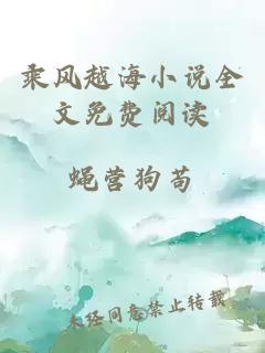 乘風(fēng)越海小說全文免費閱讀