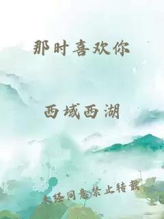 那時(shí)喜歡你