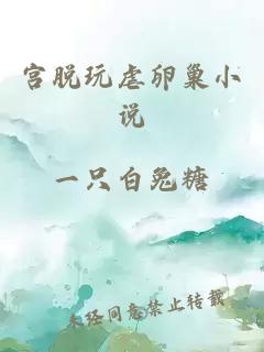 宮脫玩虐卵巢小說