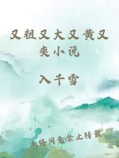 又粗又大又黃又爽小說