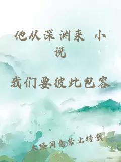 他從深淵來 小說