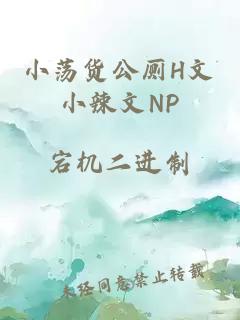 小蕩貨公廁H文小辣文NP