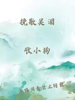 挽歌吳淚