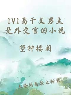 1V1高干文男主是外交官的小說