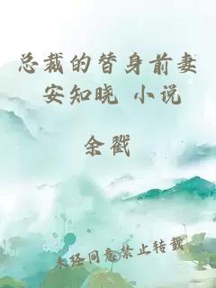 總裁的替身前妻 安知曉 小說