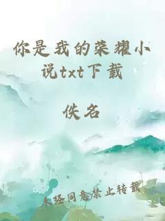 你是我的榮耀小說(shuō)txt下載