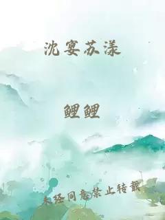 沈宴蘇漾