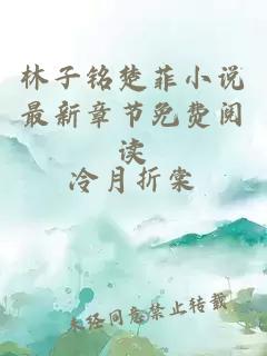 林子銘楚菲小說最新章節(jié)免費(fèi)閱讀