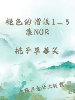 褪色的憎恨1—5集NUR