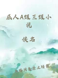 成人A級三級小說