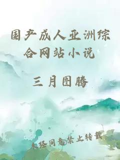 國產成人亞洲綜合網站小說