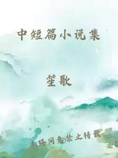 中短篇小說集