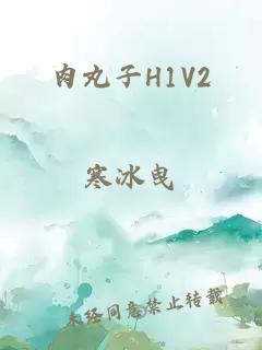 肉丸子H1V2