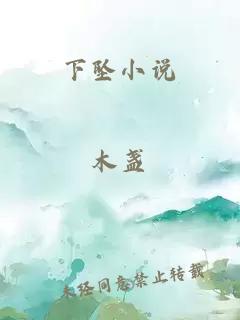 下墜小說