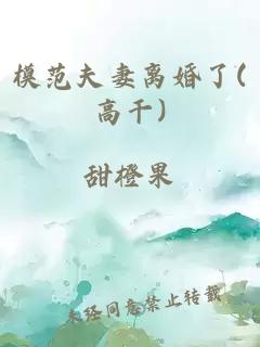 模范夫妻離婚了(高干)