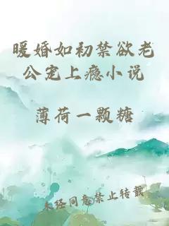 暖婚如初禁欲老公寵上癮小說