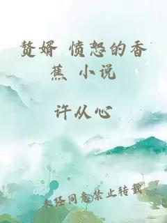 贅婿 憤怒的香蕉 小說(shuō)