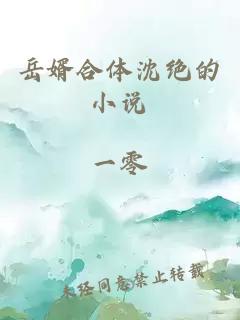 岳婿合體沈絕的小說