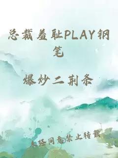 總裁羞恥PLAY鋼筆