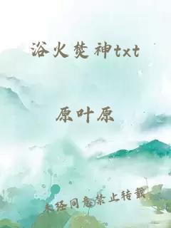 浴火焚神txt