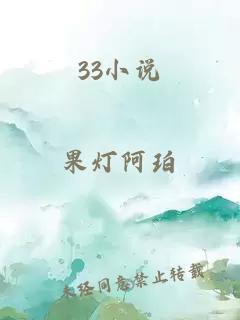 33小說