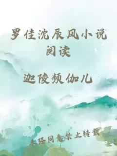 羅佳沈辰風(fēng)小說閱讀