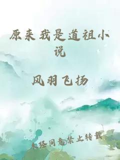 原來我是道祖小說