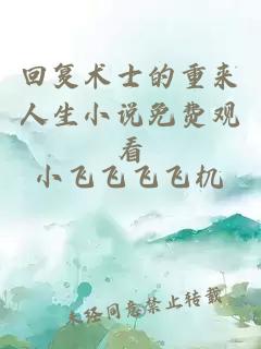 回復(fù)術(shù)士的重來人生小說免費觀看