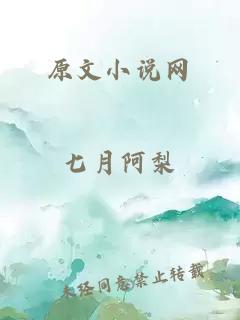 原文小說網