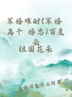 軍婚難耐(軍婚 高干 婚戀)百度云