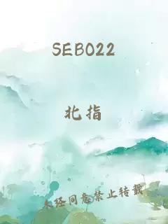 SEBO22