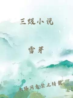 三級小說