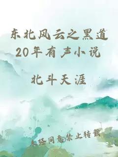 東北風云之黑道20年有聲小說