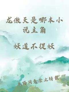 龍傲天是哪本小說主角