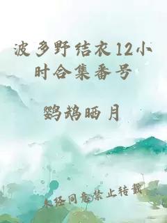 波多野結衣12小時合集番號